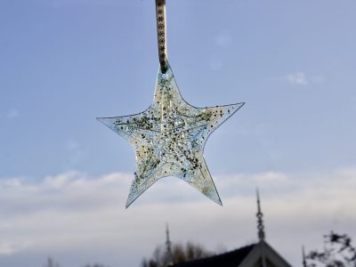 Glaverned-winterster